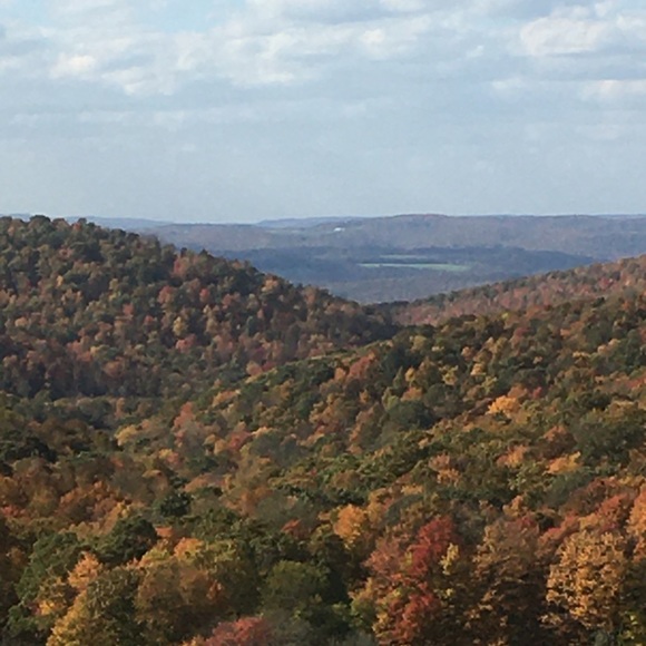 💖Meet your Posher, Eva Like my Closet to Follow! - Picture 11 of 16